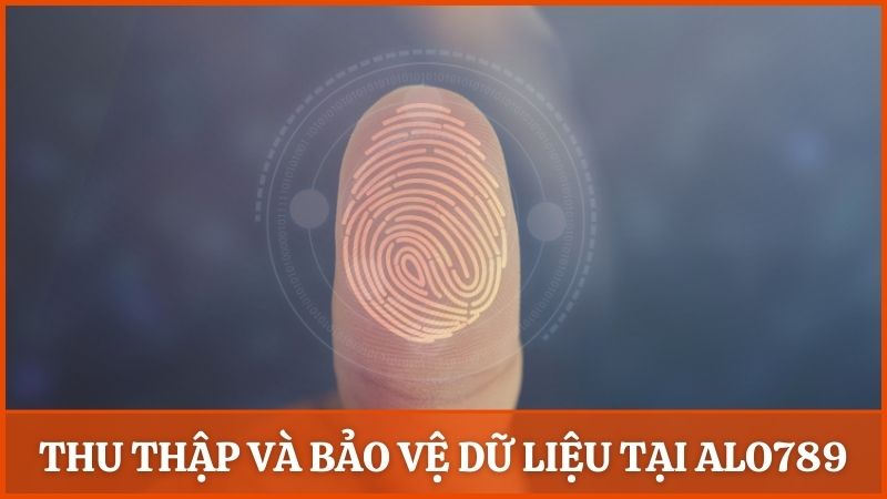 Giải thích về quá trình thu thập và bảo vệ dữ liệu tại Alo789