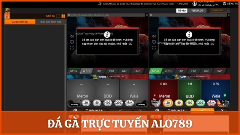 Đá gà trực tuyến sử dụng nguồn phát từ SV388 và nhiều đấu trường châu Á