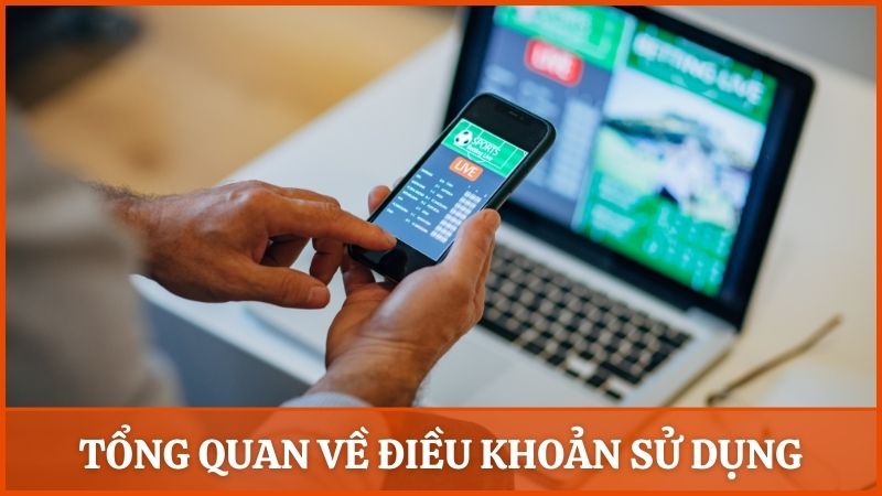 Tổng quan về điều khoản sử dụng và vai trò trên nền tảng Alo789